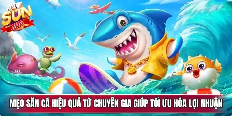 Mẹo săn cá hiệu quả từ chuyên gia giúp tối ưu hóa lợi nhuận