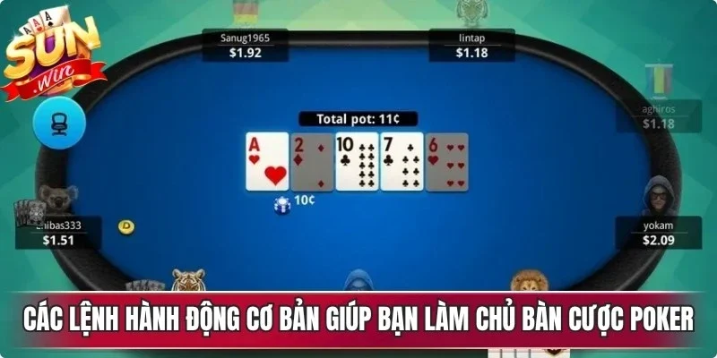 Các lệnh hành động cơ bản giúp bạn làm chủ bàn cược poker