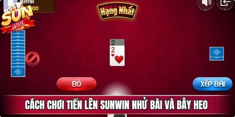 Cách chơi tiến lên Sunwin nhử bài và bẫy heo mang đến hiệu quả cao