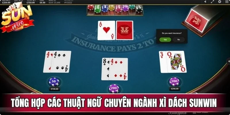 Tổng hợp các thuật ngữ chuyên ngành xì dách Sunwin quan trọng