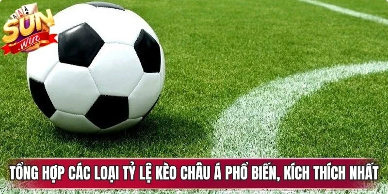 Tổng hợp các loại tỷ lệ kèo châu á phổ biến, kích thích nhất