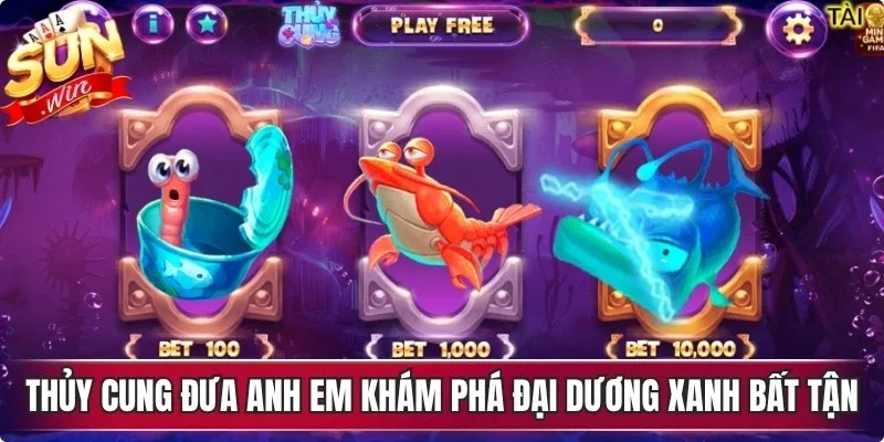 Thủy Cung đưa anh em khám phá đại dương xanh bất tận